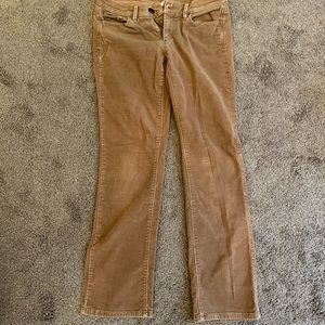 Loft corduroy khaki pants